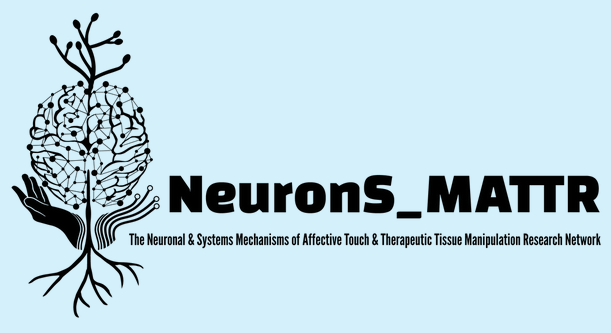 NeuronS_MATTR logo