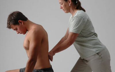 Past Funded Research